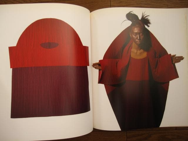 Issey Miyake by Irving Penn 1990　フライヤー付