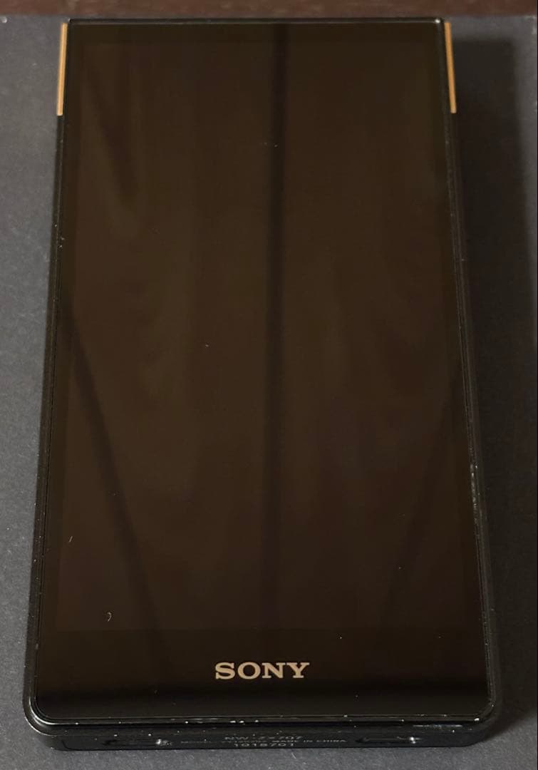 SONY Walkman NW-ZX707【保証付き】
