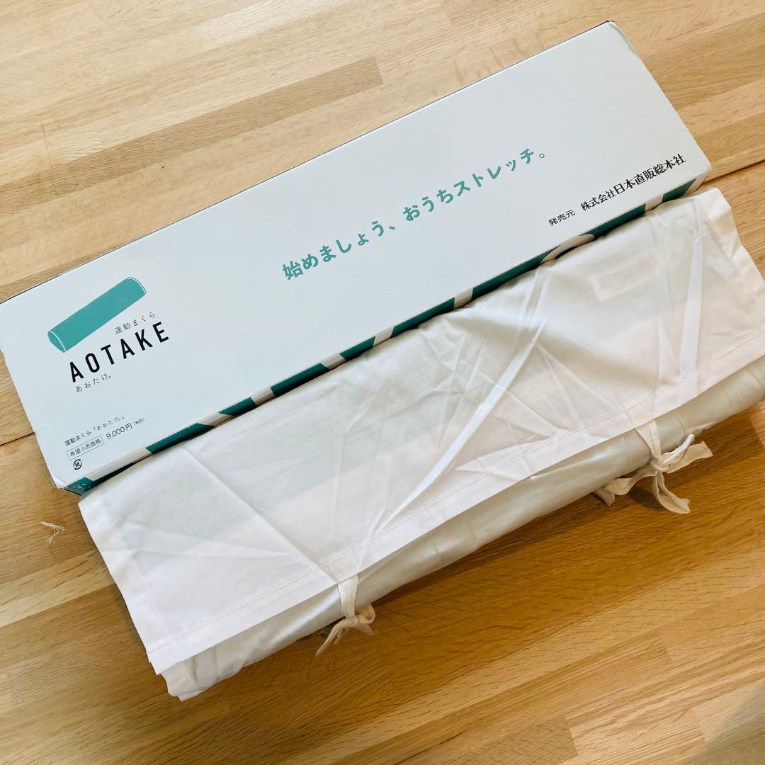 ★未使用に近い★ あおたけ運動まくら AOTAKE あおたけ枕　枕カバー付き