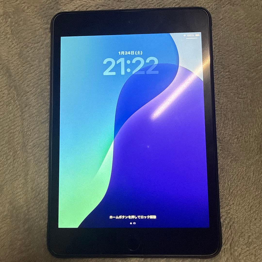 t*o様 ipad mini 5 第五世代　256gb バッテリー92% wif