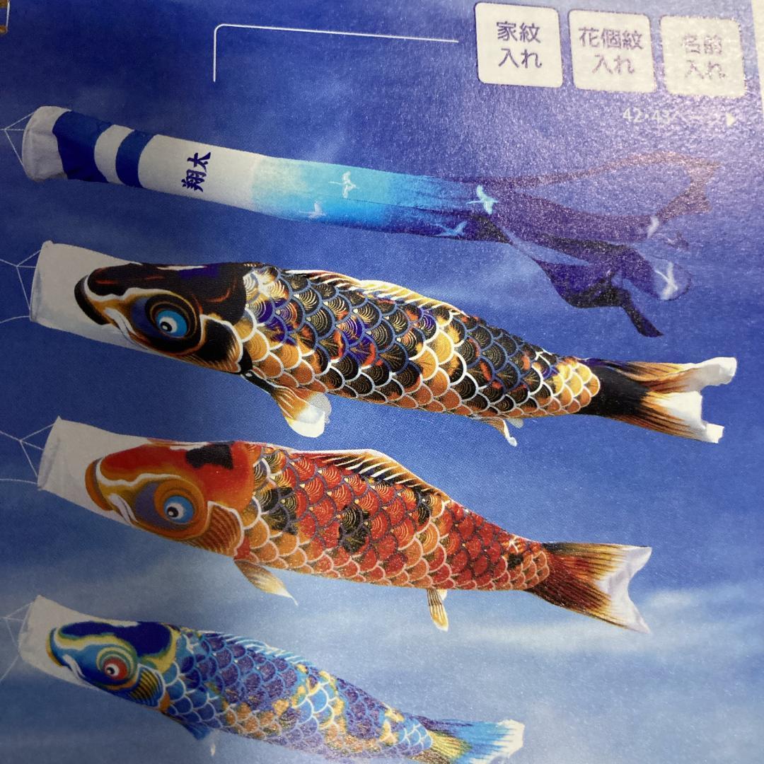 SKO121 京錦　鯉のぼり5m 黒 　黒鯉5m　お父さん鯉5m　端午の節句鯉