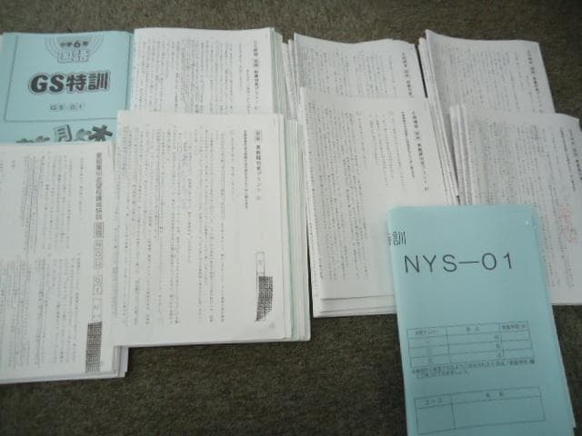 2019年度　サピックス　桜蔭対策　 6年　志望校別特訓　国算理社2020年受験