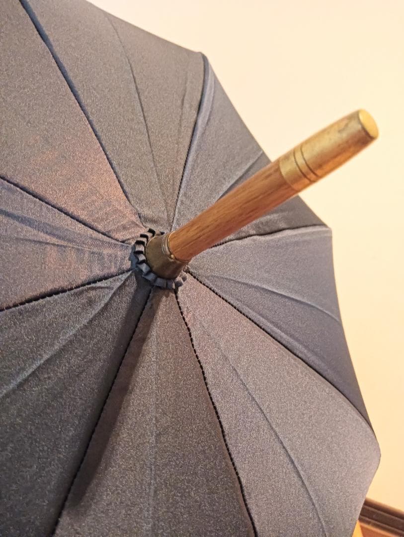 【未使用】FENDI 長傘 ombrelli ズッカ柄 ムーンバット ネイビー