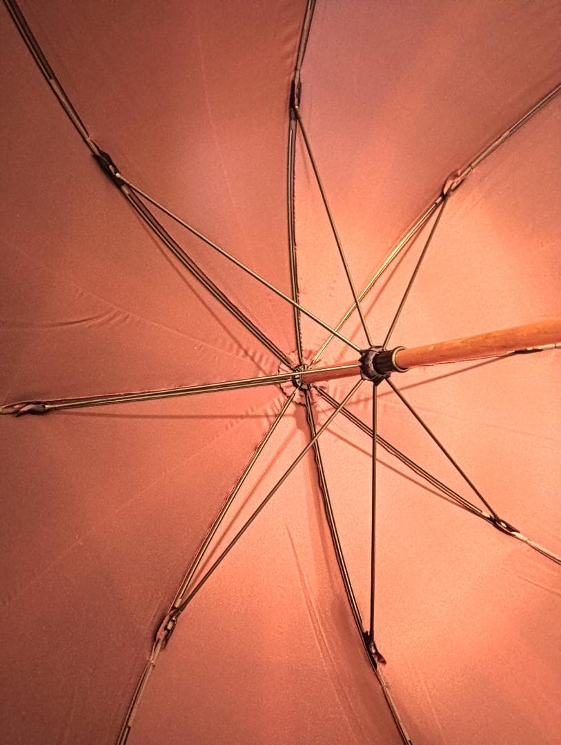 【未使用】FENDI 長傘 ombrelli ズッカ柄 ムーンバット ネイビー