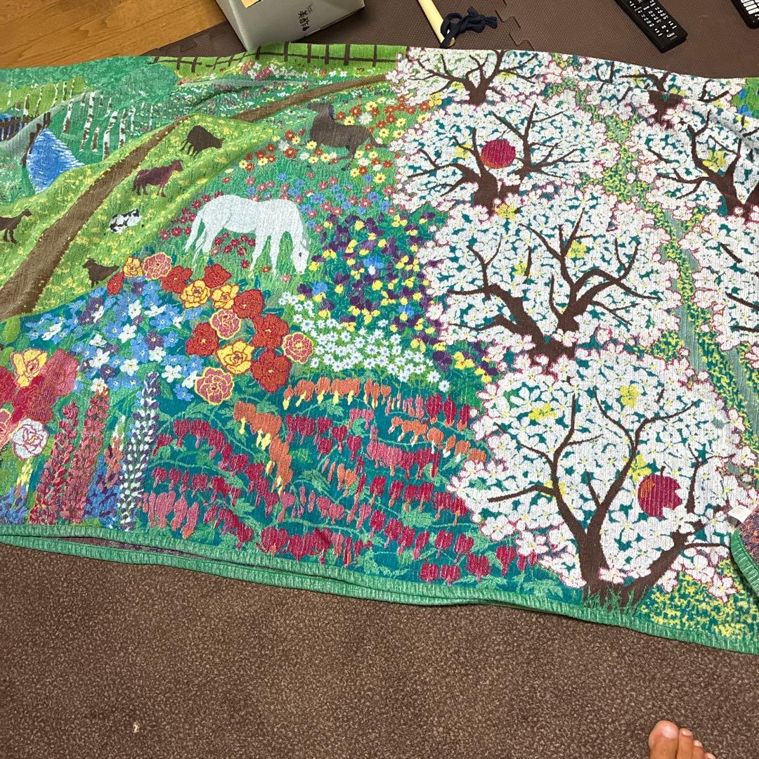 ‼️大型厚手‼️タオルケット、モーフ、カラカラ プリンスエドワード島（５色毛違い）