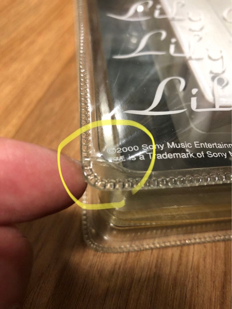 非売品 リリイ・シュシュ「グライド」 プロモーションCD&冊子&VHSセット