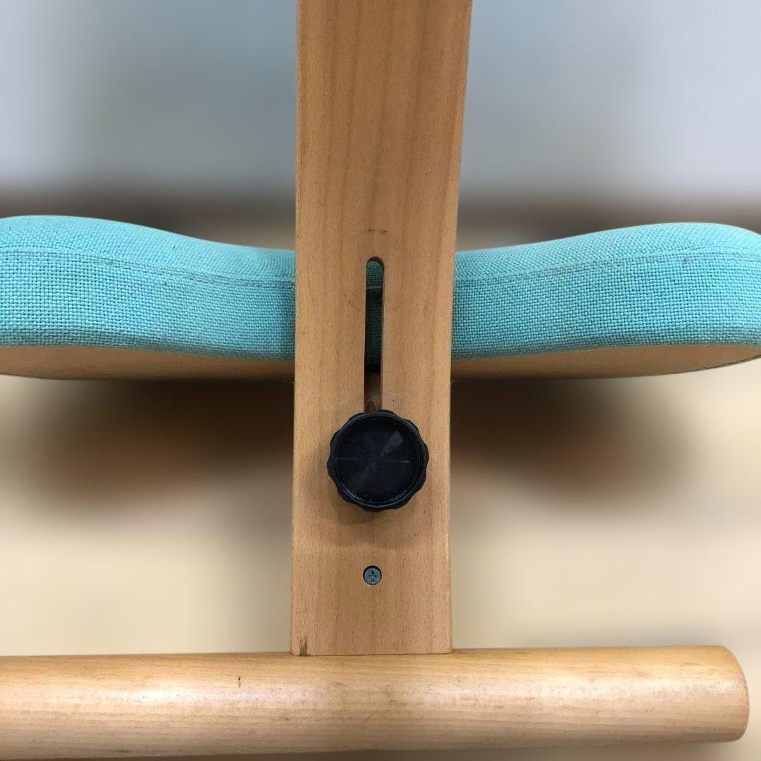 Balans EASY バランスイージー バランスチェア 姿勢矯正 75008