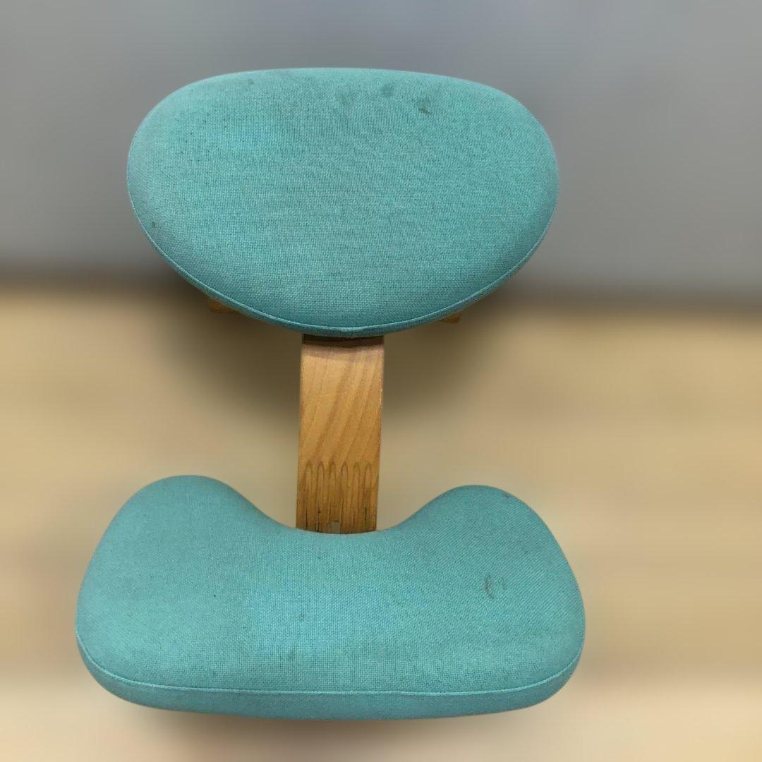 Balans EASY バランスイージー バランスチェア 姿勢矯正 75008