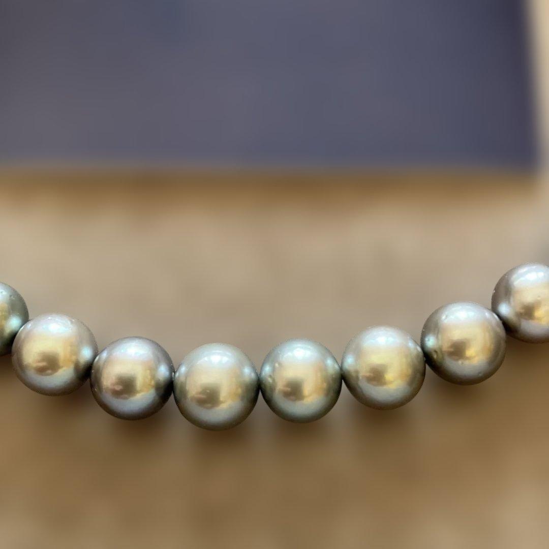 シシ様用MIKIMOTO 黒蝶パールネックレス　ブルー系