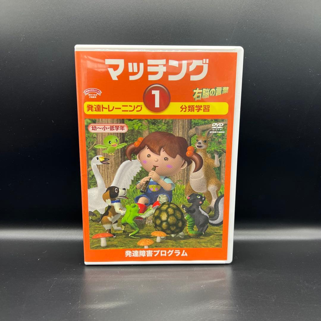 星みつる式　マッチング　1〜6巻　発達トレーニング　DVD 分類学習 右脳の言葉