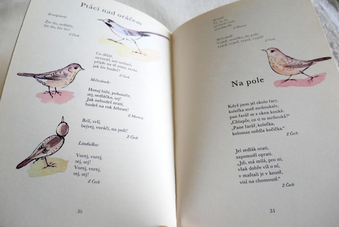 洋書：チェコの民話と詩歌の美しい古書 『Cesky rok』　4冊セット