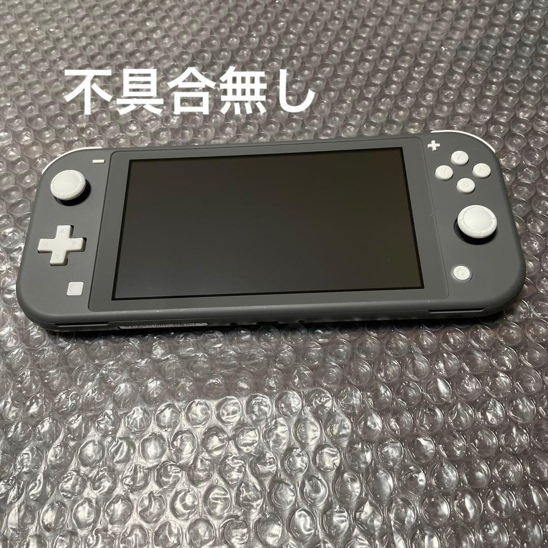 1 Nintendo Switch Lite グレー