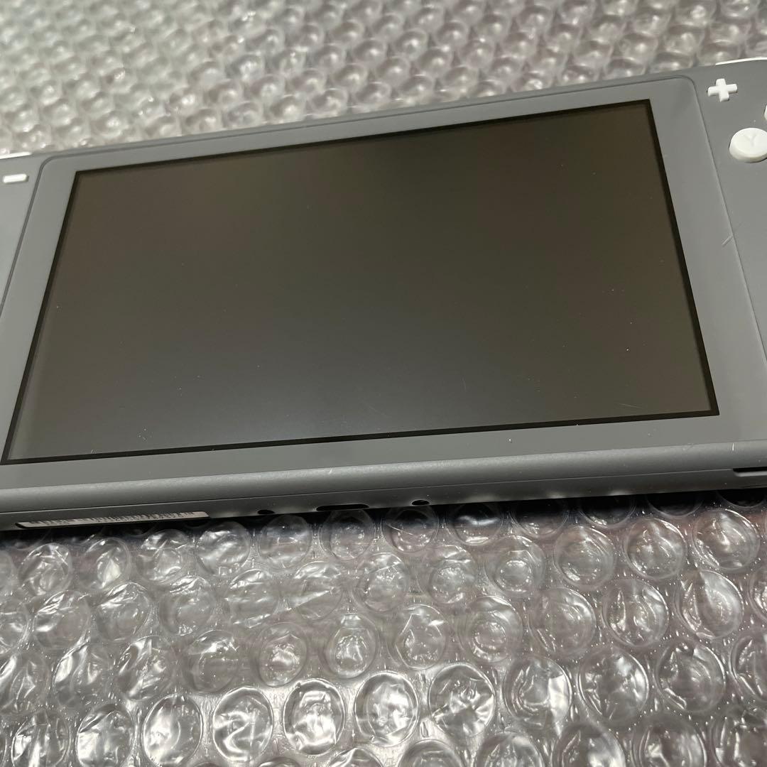 1 Nintendo Switch Lite グレー