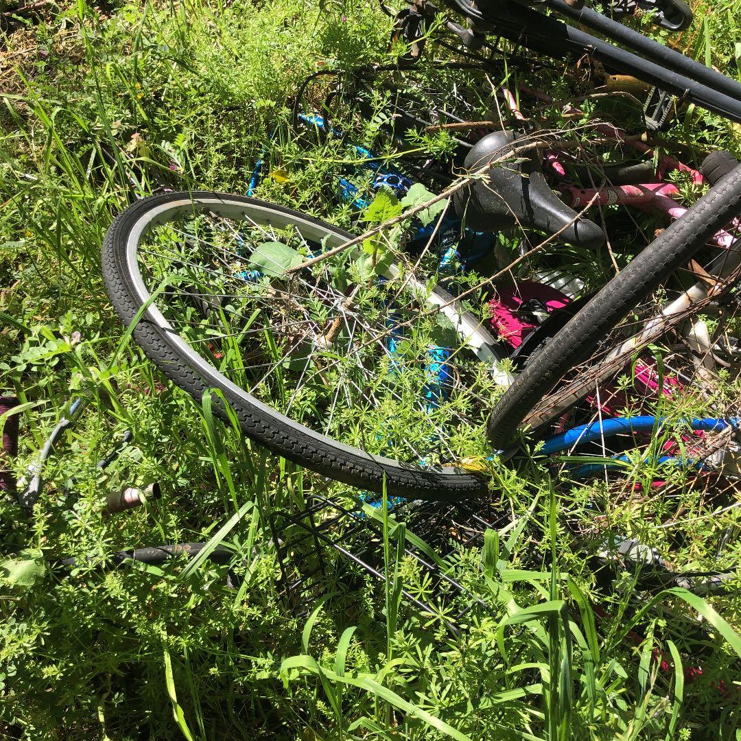 ビーチクルーザー