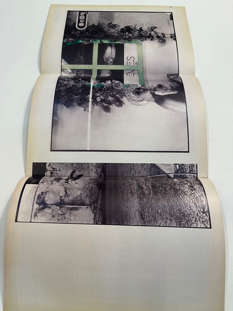 希少非売品　コムデギャルソン　アート冊子8冊　SIX purple ③