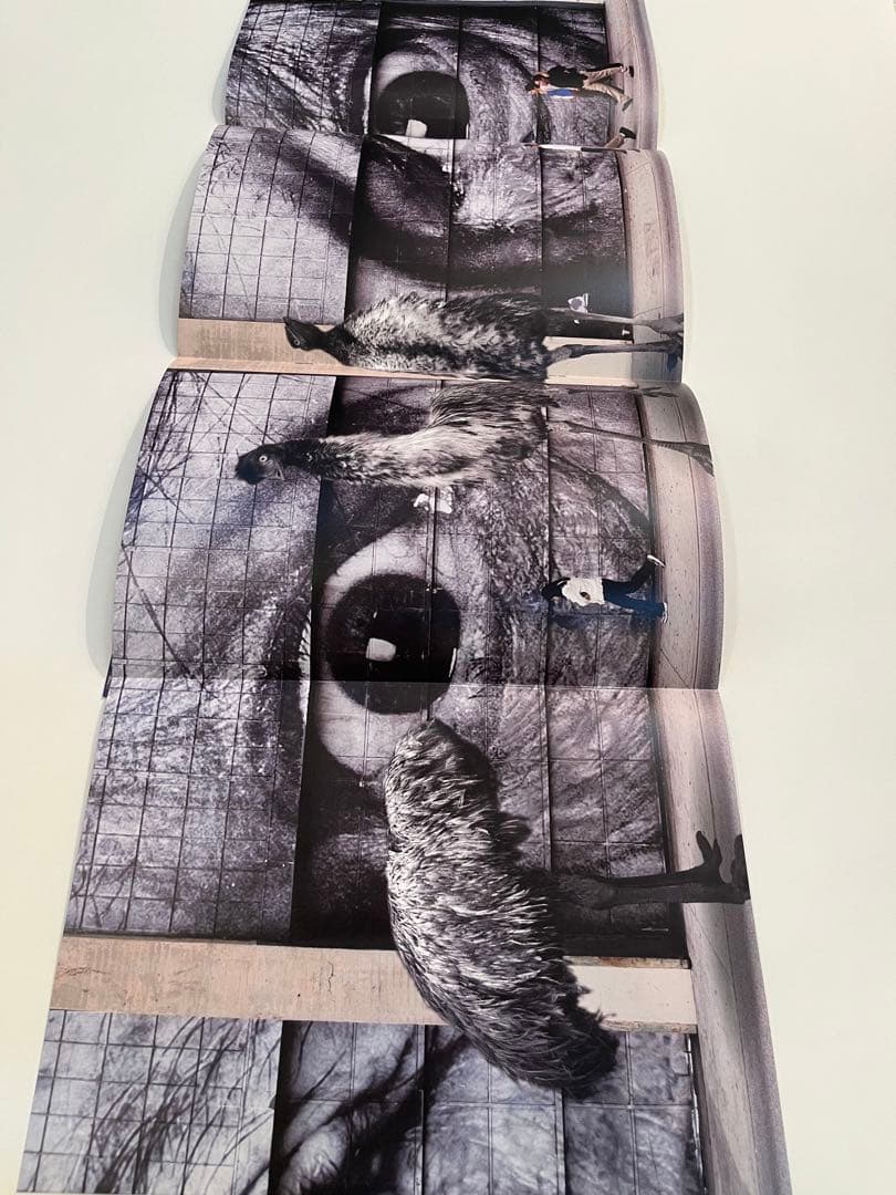 希少非売品　コムデギャルソン　アート冊子8冊　SIX purple ③