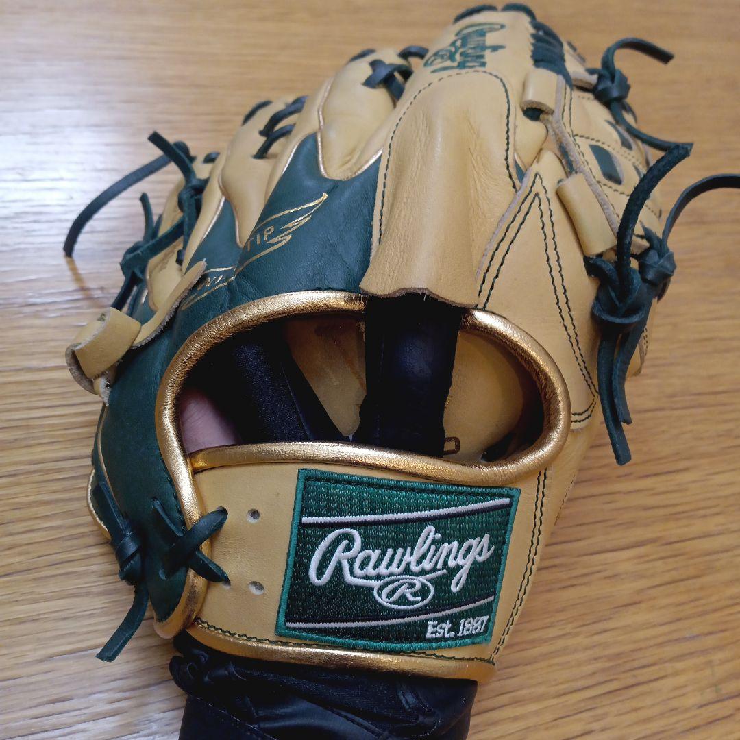 Rawlings The Gold Glove Series 軟式グローブ