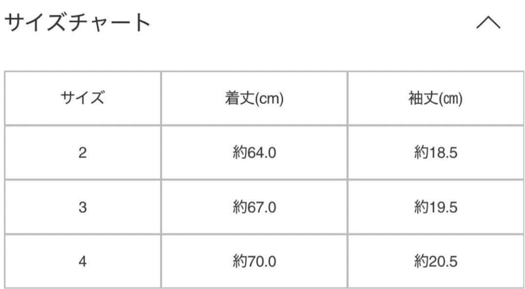 HOMMEPLISSE ISSEI MIYAKE プリーツ ポロシャツ