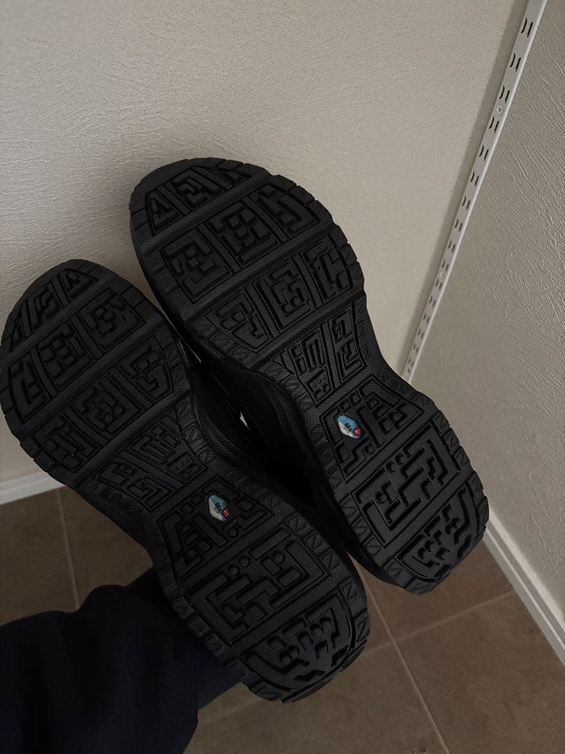 NIKE AIRMAX PHENOMENA ナイキエアマックスフェノメナ25.0