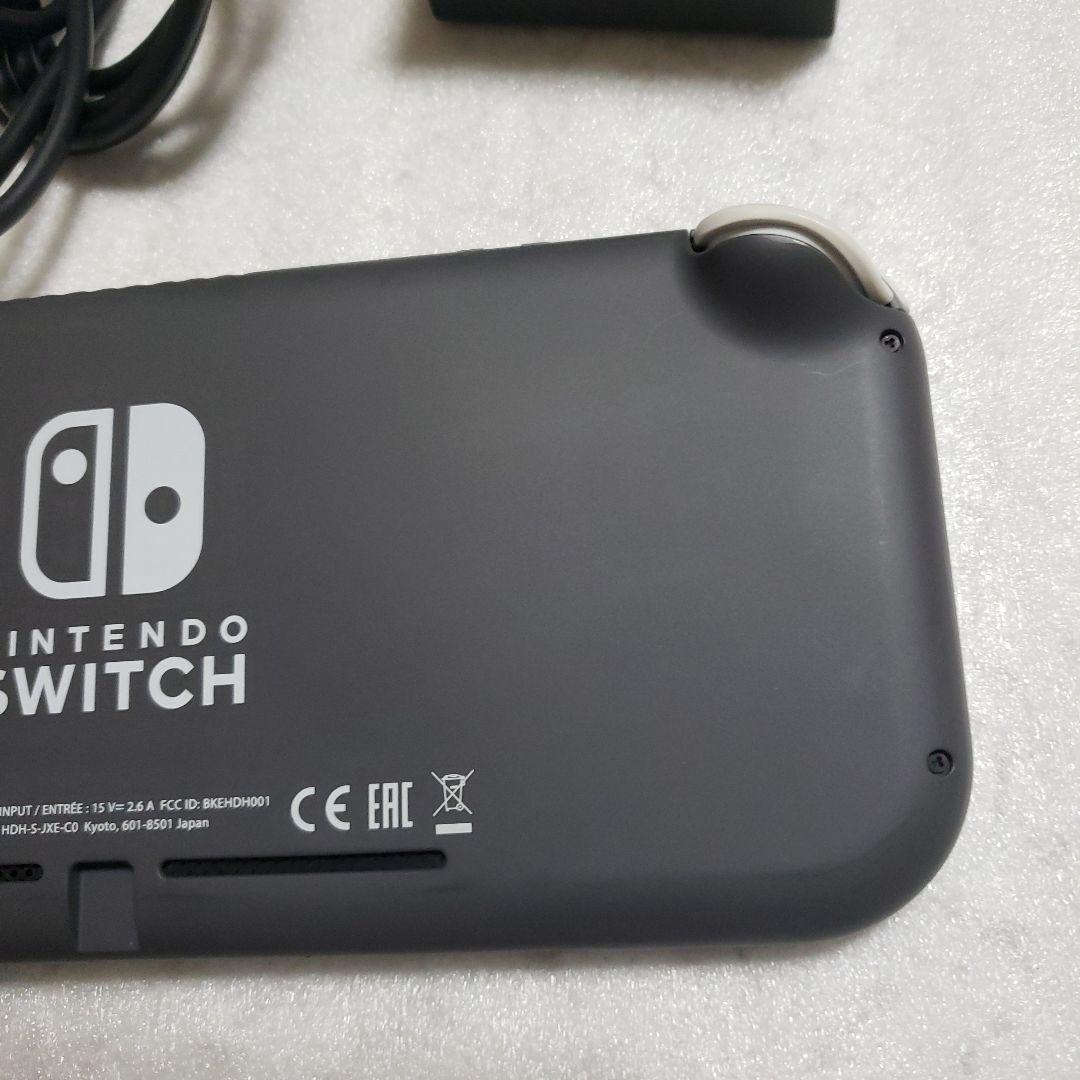 Nintendo Switch Lite グレー中古超美品充電器、SDカード付き