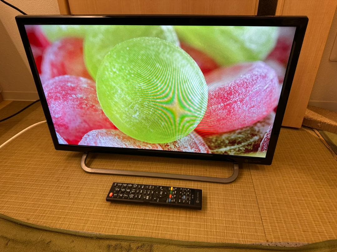 録画可！ELSONIC 24型　500GB内蔵　テレビ　2020年製　美品！