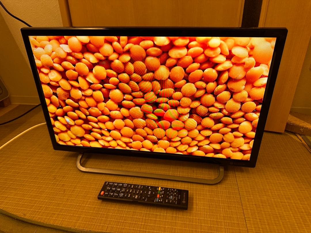 録画可！ELSONIC 24型　500GB内蔵　テレビ　2020年製　美品！