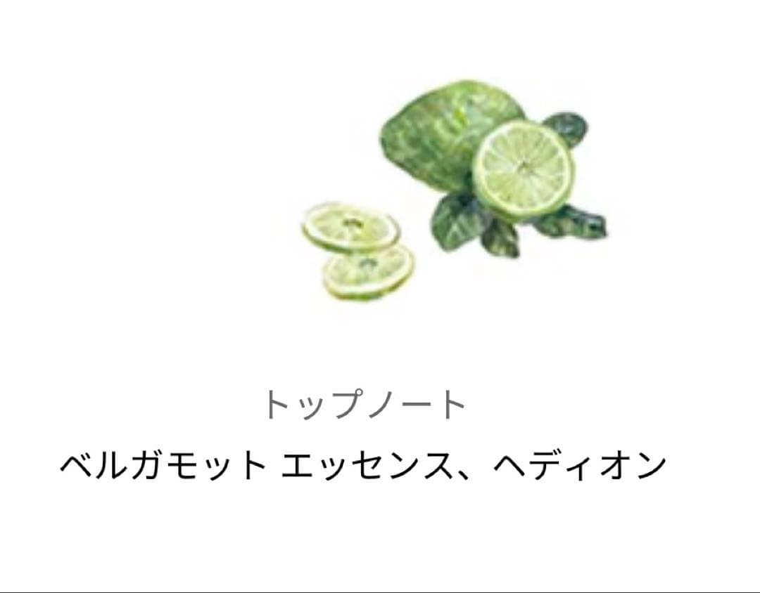 香水(女性用) L'Artisan Le Chant de Camargue 100ml