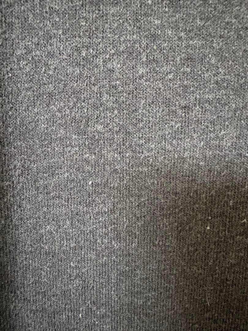 45R ぷくぷく裏毛のビックスウェット（パール）