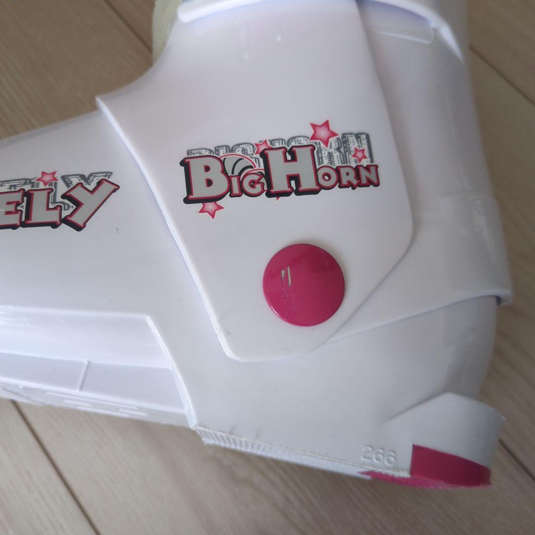 ジュニア　スキーセット　女の子　120