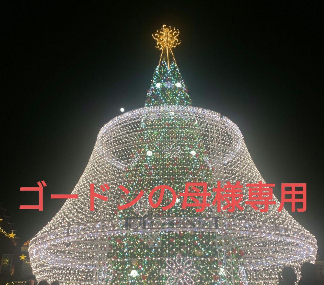 ランプベルジェオイル ゴードンの母