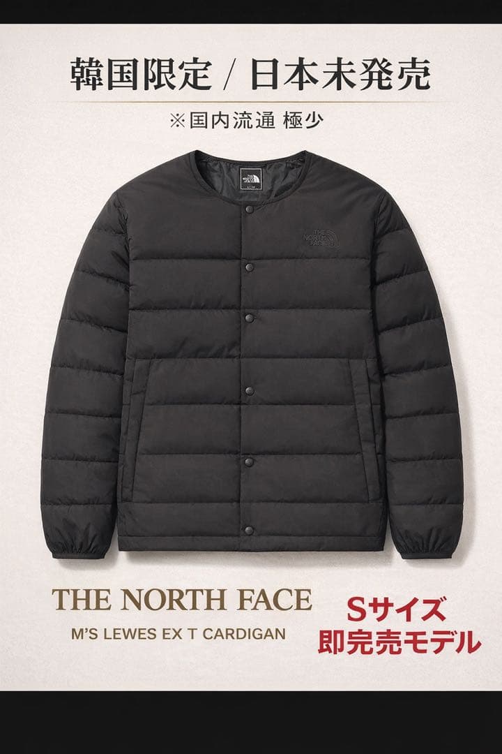 【新品タグ付】THE NORTH FACEルイスジャケット黒Ｓ日本未発売レア