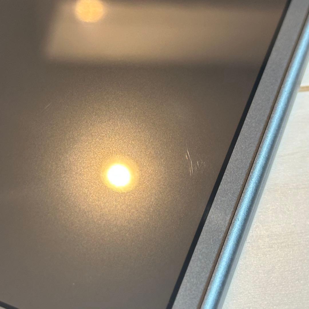 Nintendo Switch Lite グレー ポケモンデザイン　ケース付き