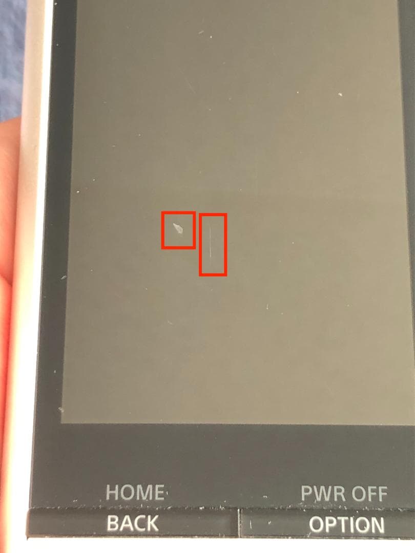 ポータブルプレーヤー SONY WALKMAN NW-ZX100