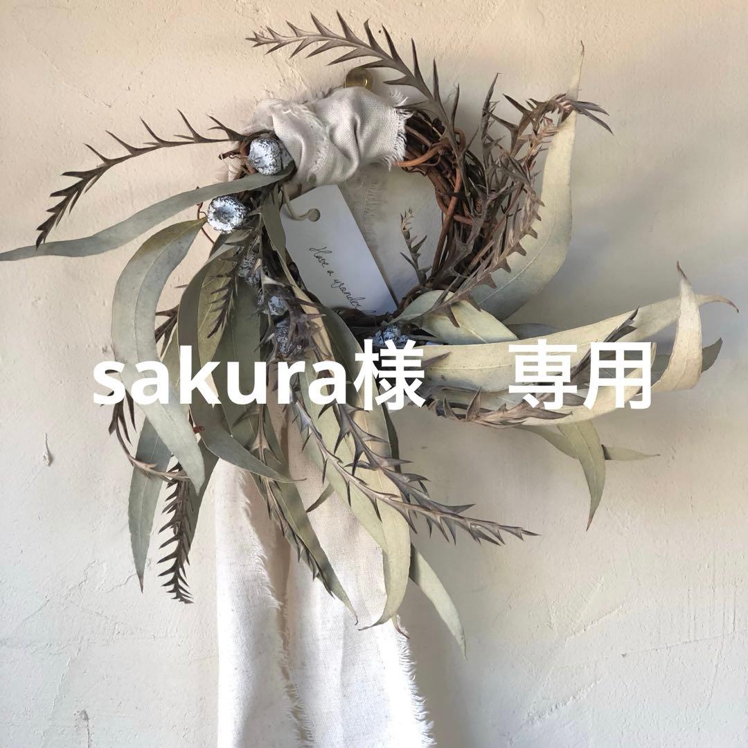 sakura　sサイズ