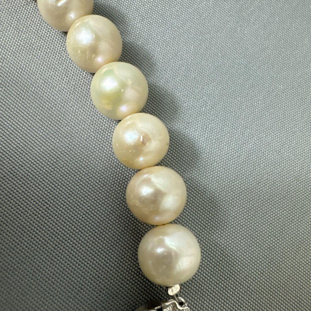 大珠 10mm珠　本真珠　ネックレス　イヤリング　セット あこや 淡水