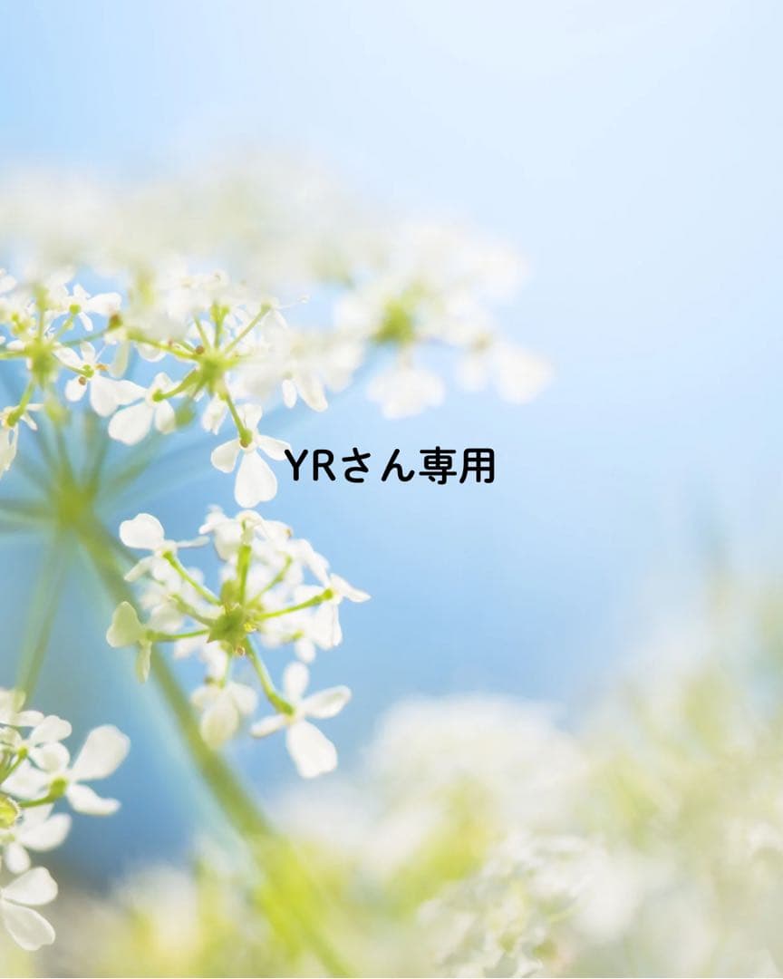 YRさん専用