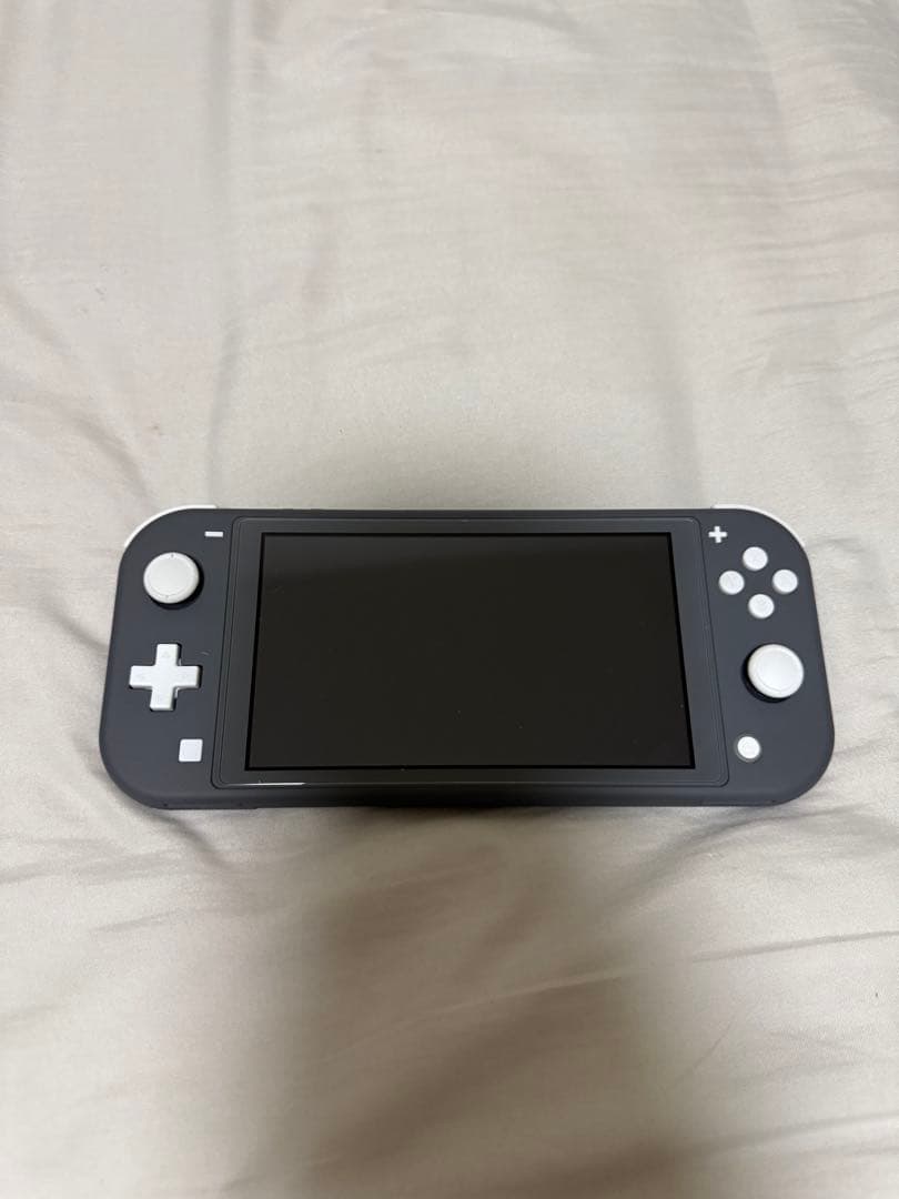 超美品Nintendo Switch Lite グレー 本体 ACアダプター付き