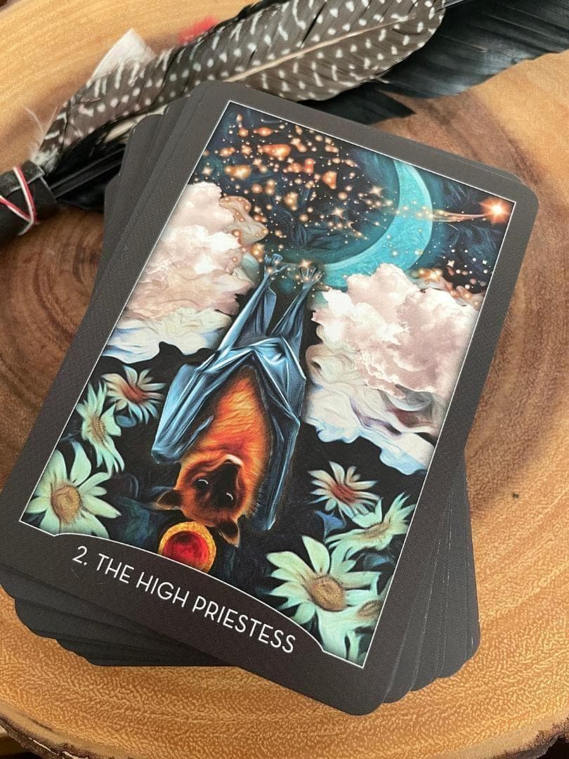 ★正規品タロットカード★人気作者の美麗デッキ✨美しい夜の動物たちのタロット