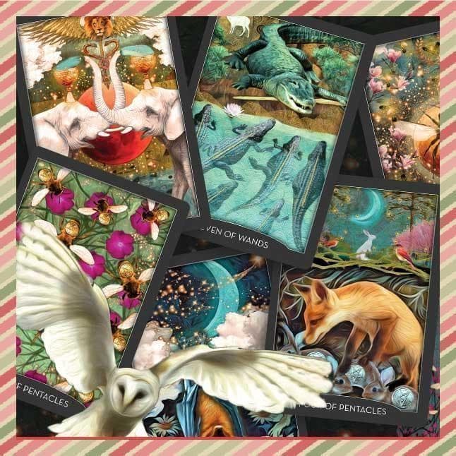 ★正規品タロットカード★人気作者の美麗デッキ✨美しい夜の動物たちのタロット