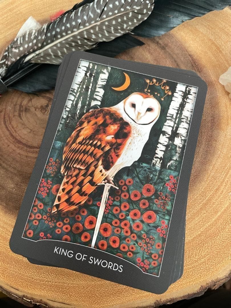 ★正規品タロットカード★人気作者の美麗デッキ✨美しい夜の動物たちのタロット