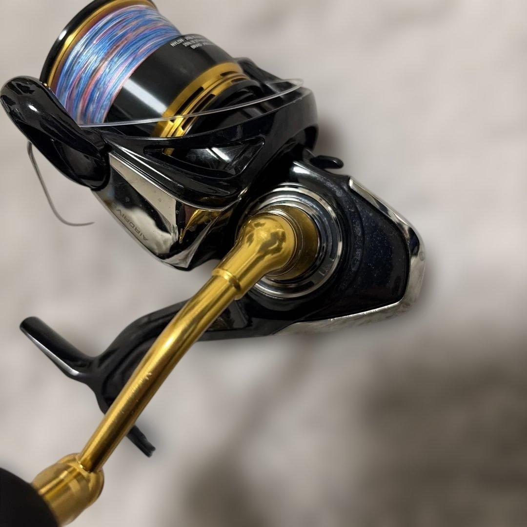 DAIWA LEGALIS LT 6000D-H スピニングリール 黒/金