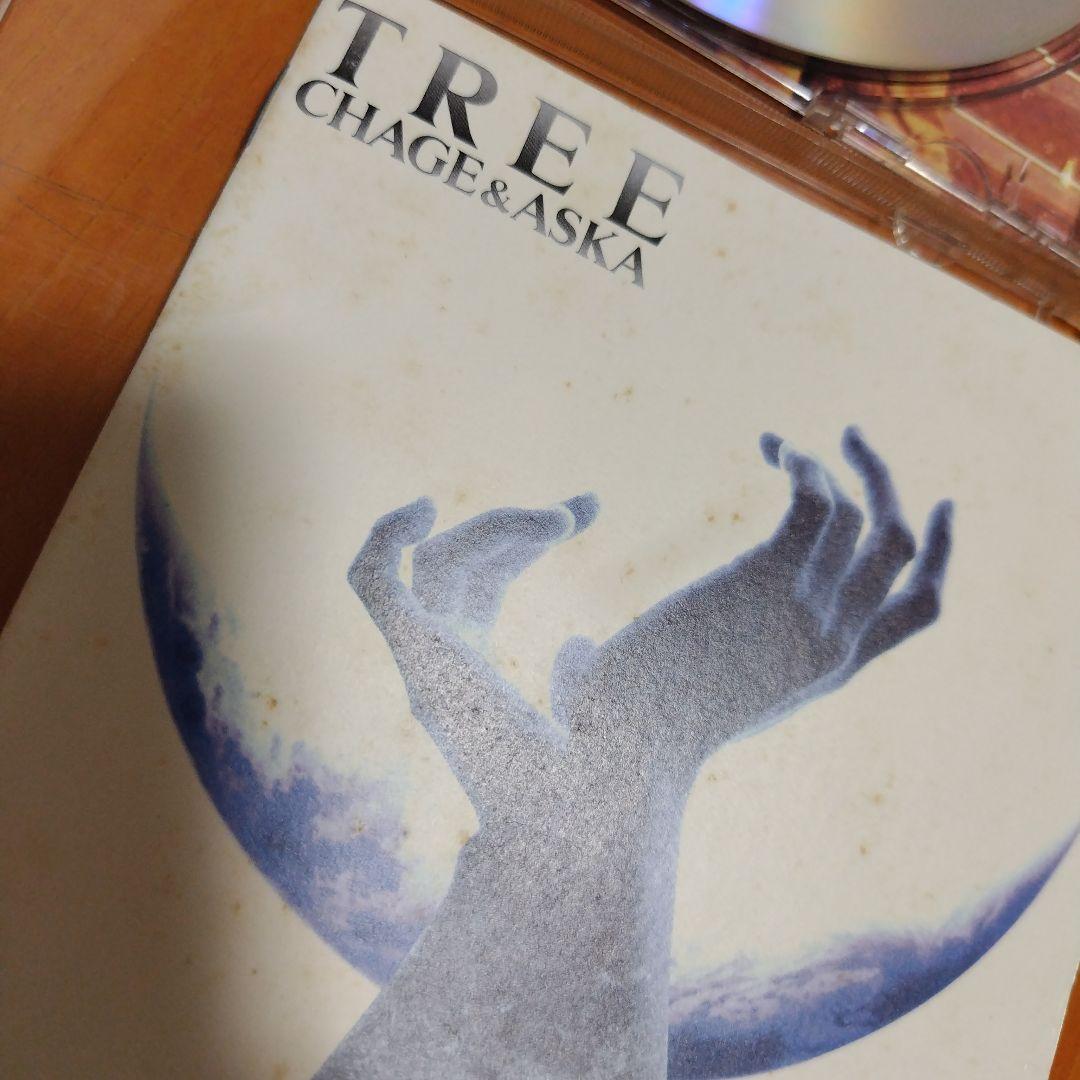 邦楽 CHAGE&ASKA TREE