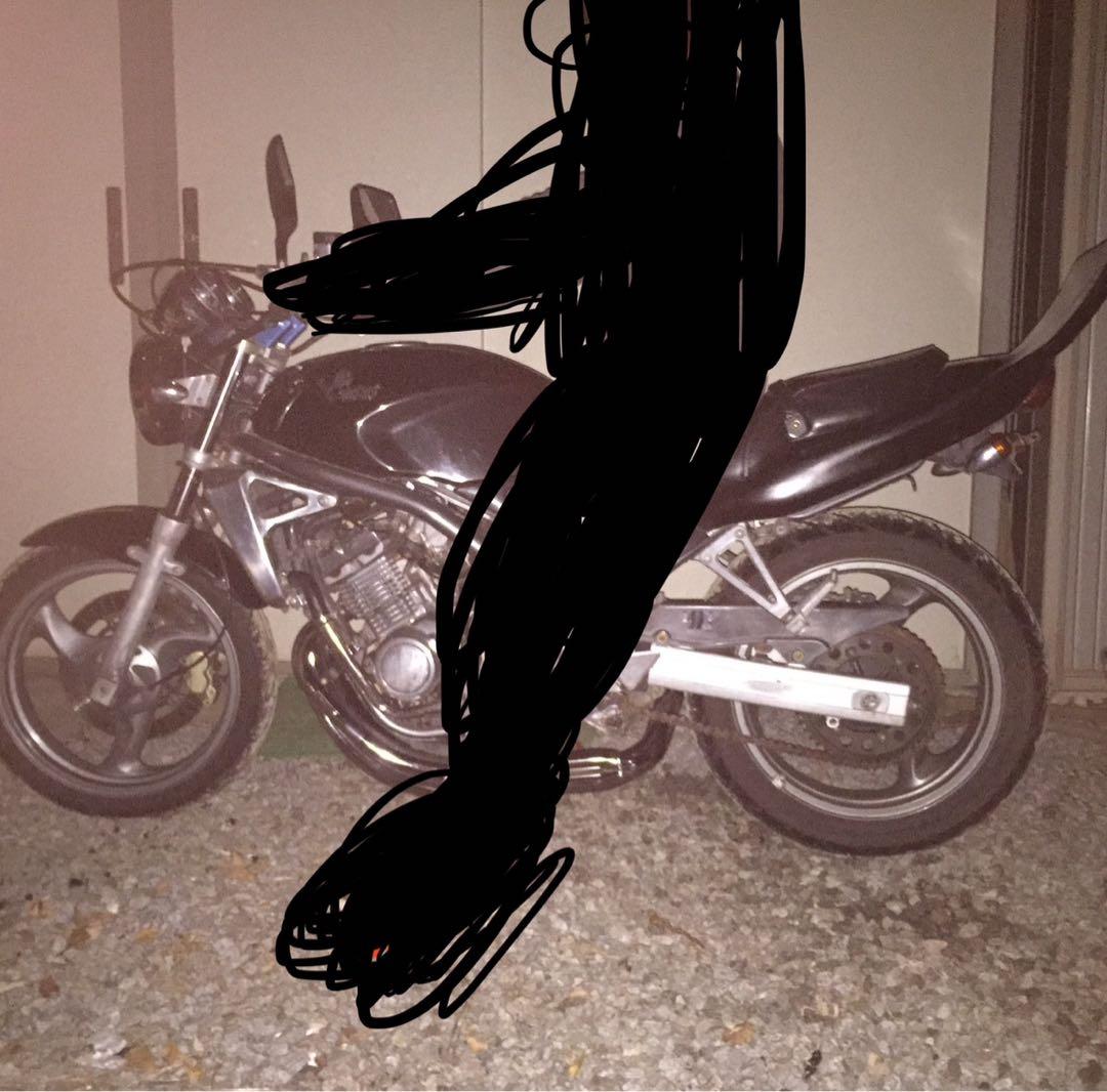 バリオス　1型　ツッパリテール　羽テール　羽根テール