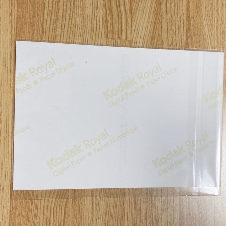 SEVENTEEN セブチ サノク ジュン