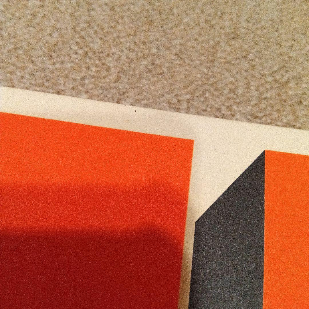 Barry Mcgee バリーマッギー THR/DFW 洋書 大型本