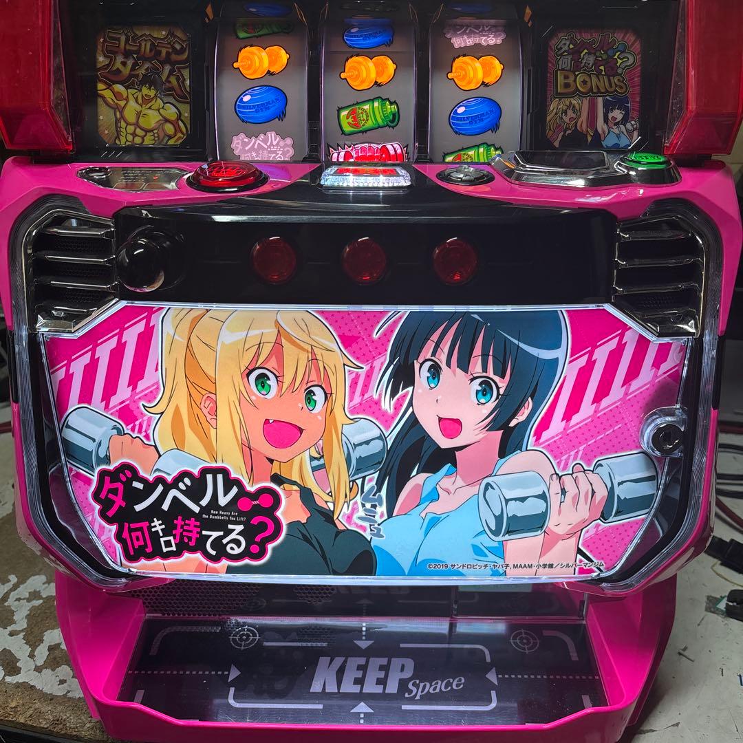 アリエルさん専用　ダンベル何キロ持てる？スマスロ簡易ユニット付き　実機