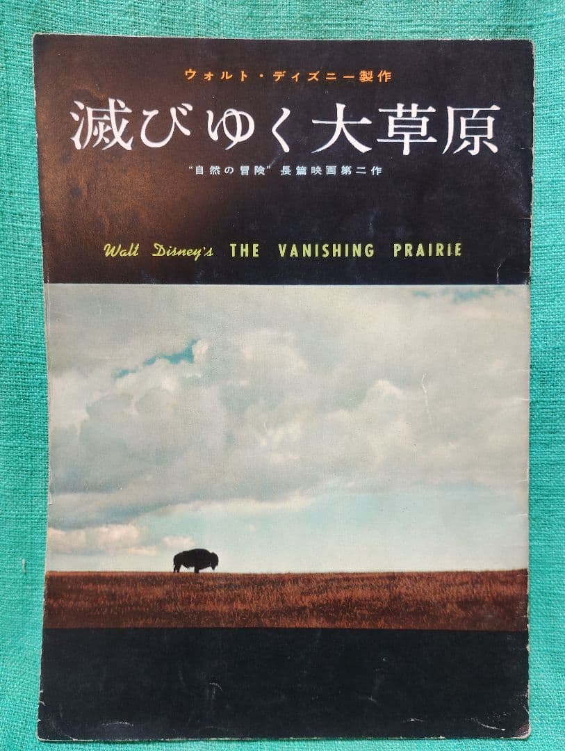 ウォルトディズニー映画パンフレット8点セット