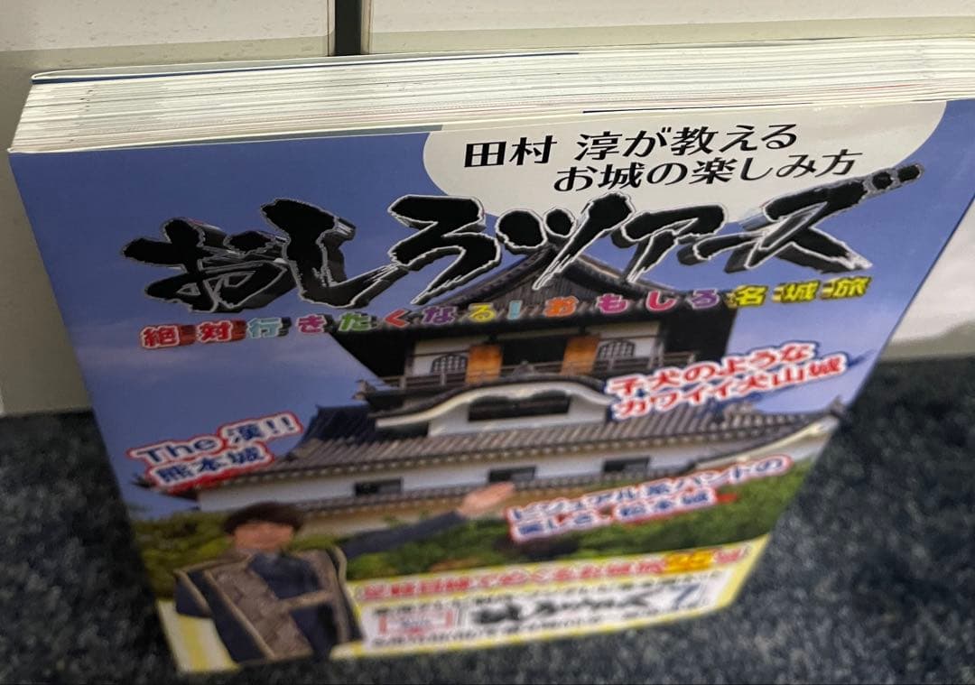 【非売品あり、一部書き込みあり】お城本11冊