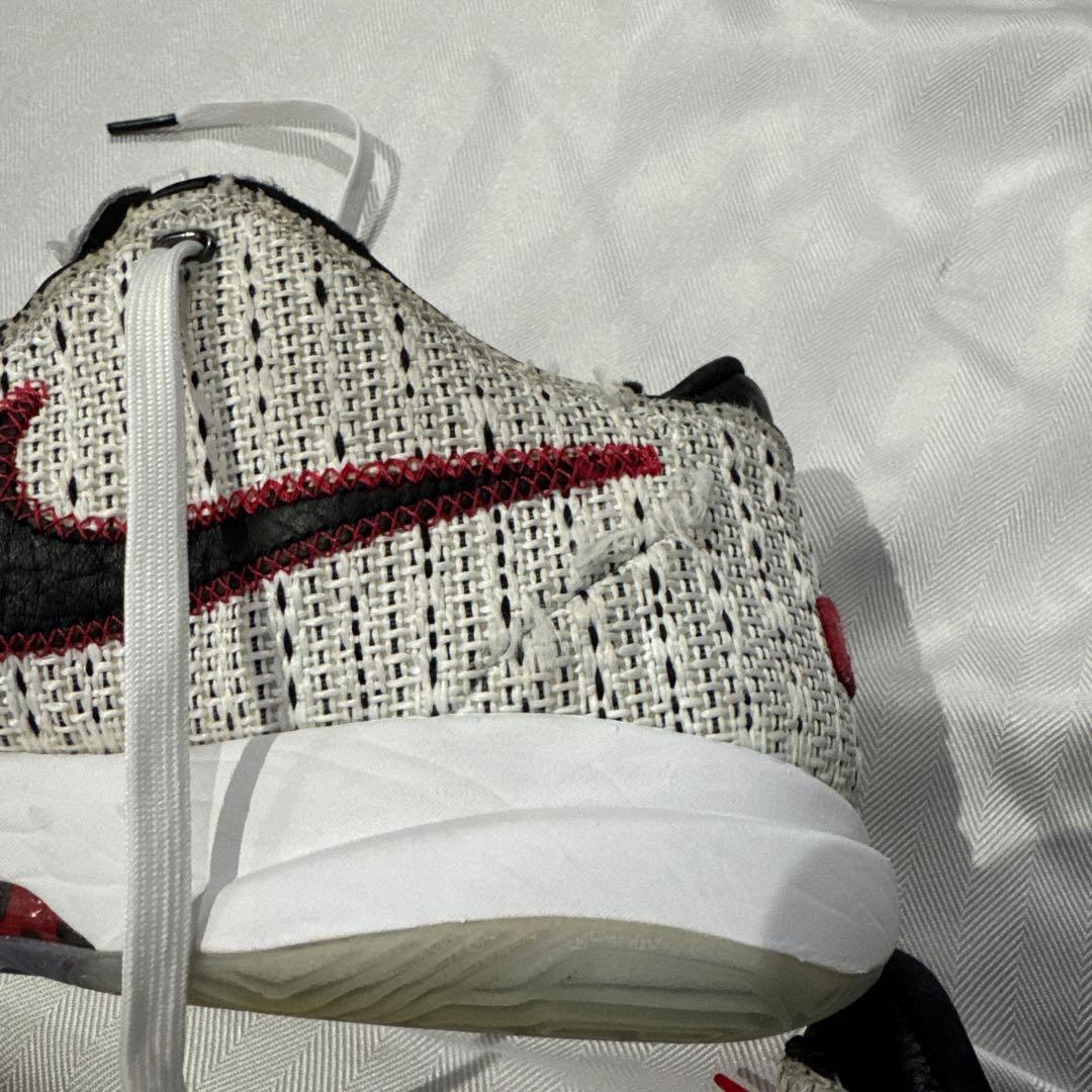 NIKE LEBRON 20 EP サイズ30cm