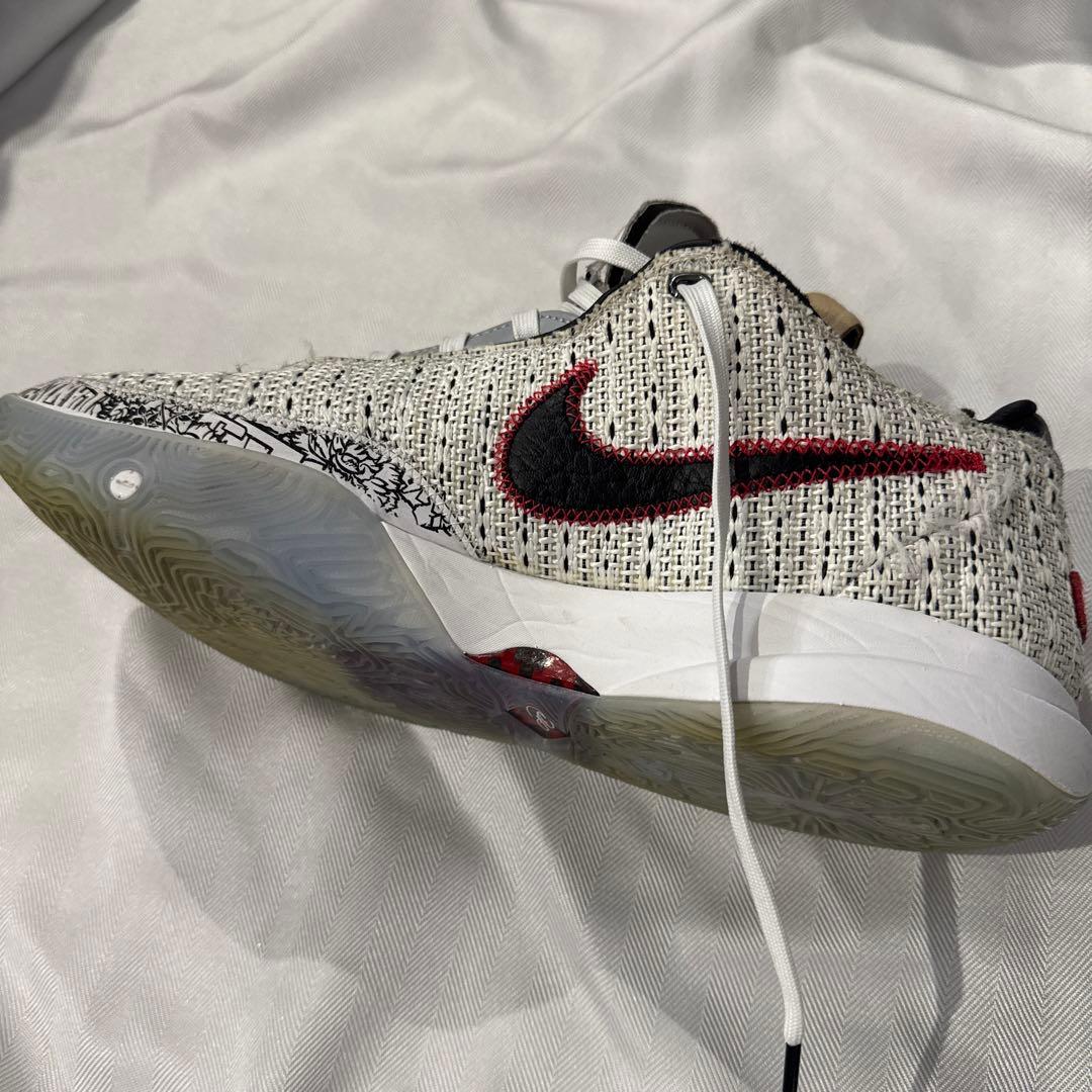 NIKE LEBRON 20 EP サイズ30cm